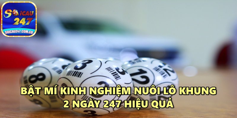 Nuôi Lô Khung 2 Ngày 247 Chuẩn Xác Bất Bại Miễn Phí