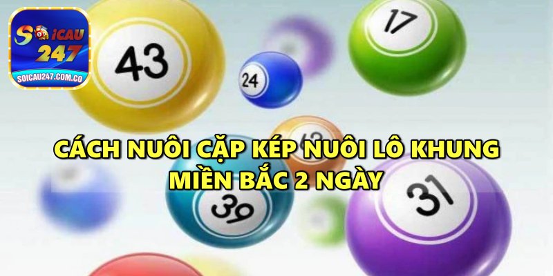 Nuôi Lô Khung Miền Bắc 2 Ngày Chính Xác Cho Người Mới