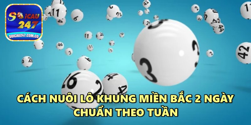 Nuôi Lô Khung Miền Bắc 2 Ngày Chính Xác Cho Người Mới