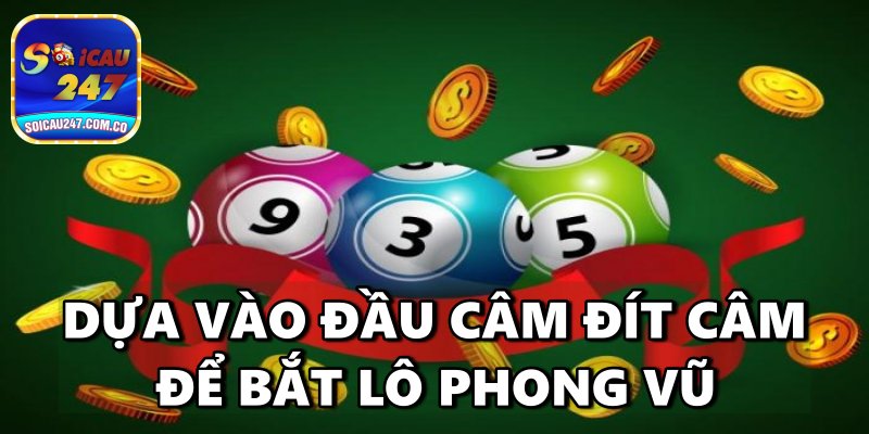 Lô Khung Phong Vũ An Toàn, Lãi Cao, Hiệu Quả Mỗi Ngày