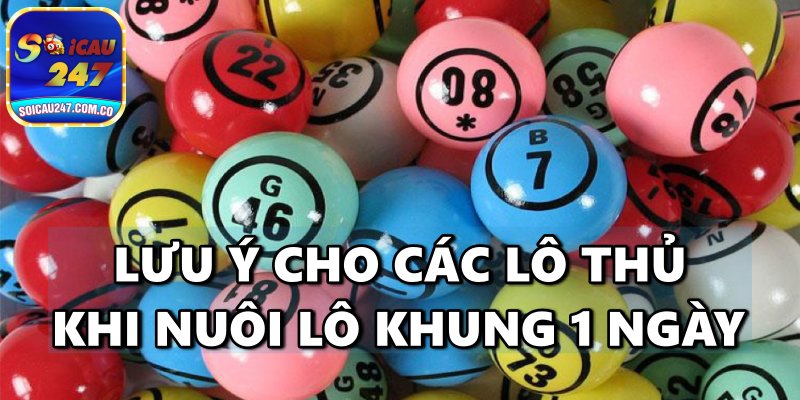 Hướng Dẫn Nuôi Lô Khung 1 Ngày Đảm Bảo Chắc Trúng