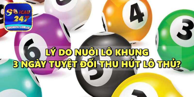 Nuôi Lô Khung 3 Ngày Tuyệt Đối Chính Xác, Hiệu Quả Cao