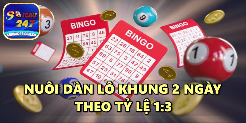 Cách Nuôi Dàn Lô Khung 2 Ngày Bất Bại Thành Công