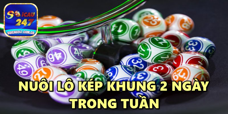 Lô Kép Khung 2 Ngày Bất Bại Miễn Phí Chính Xác 100