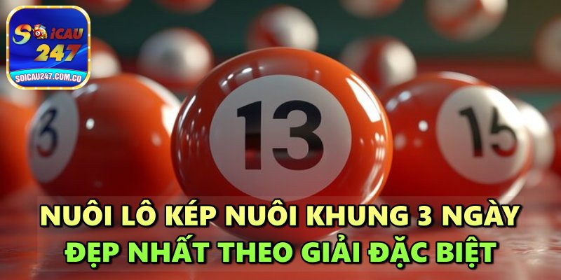 Mẹo Nuôi Lô Kép Nuôi Khung 3 Ngày Đẹp Nhất Hiện Nay