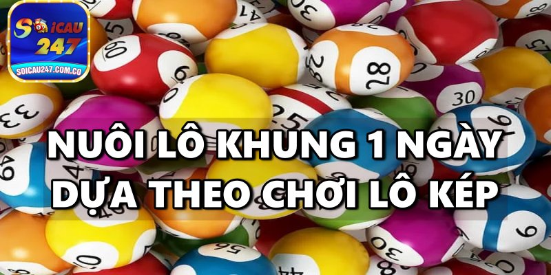 Hướng Dẫn Nuôi Lô Khung 1 Ngày Đảm Bảo Chắc Trúng