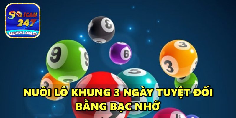 Nuôi Lô Khung 3 Ngày Tuyệt Đối Chính Xác, Hiệu Quả Cao