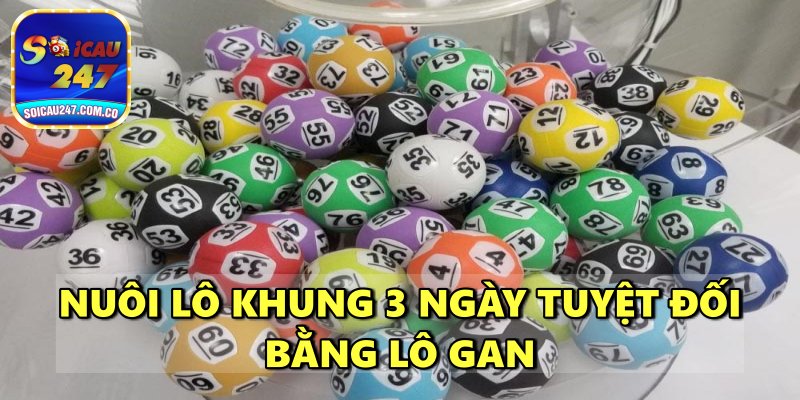 Nuôi Lô Khung 3 Ngày Tuyệt Đối Chính Xác, Hiệu Quả Cao