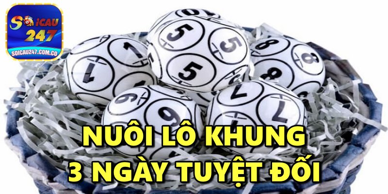 Nuôi Lô Khung 3 Ngày Tuyệt Đối Chính Xác, Hiệu Quả Cao