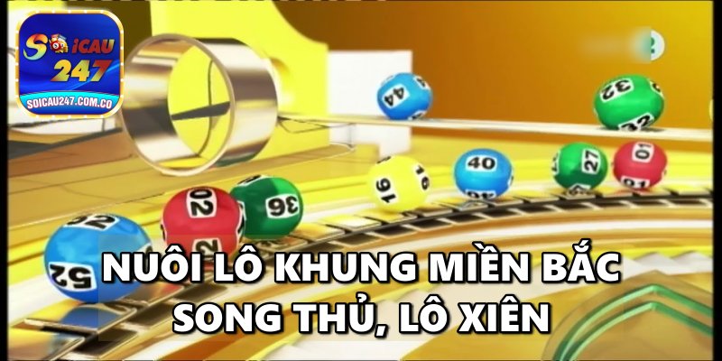 Các Phương Pháp Nuôi Lô Khung miền Bắc Miễn Phí, Hiệu Quả