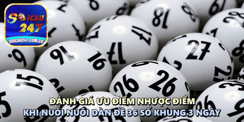 Nuôi Dàn Đề 36 Số Khung 3 Ngày: Vì Sao Mang Lại Hiệu Quả Cao?