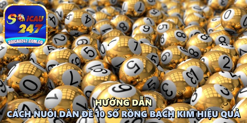 Dàn Đề 10 Số Rồng Bạch Kim: Chiến Lược Bắt Bộ Lô Đẹp