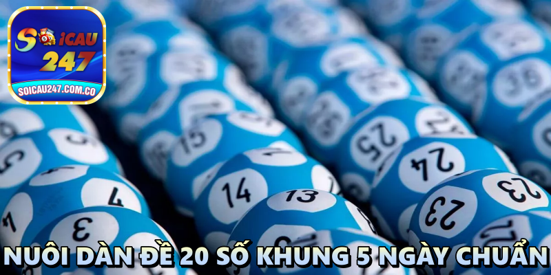 Hướng Dẫn Nuôi Dàn Đề 20 Số Khung 5 Ngày Chuẩn