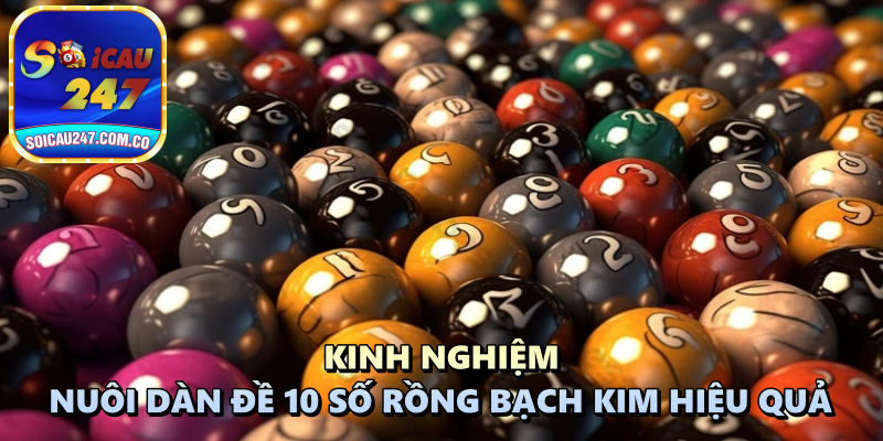 Dàn Đề 10 Số Rồng Bạch Kim: Chiến Lược Bắt Bộ Lô Đẹp