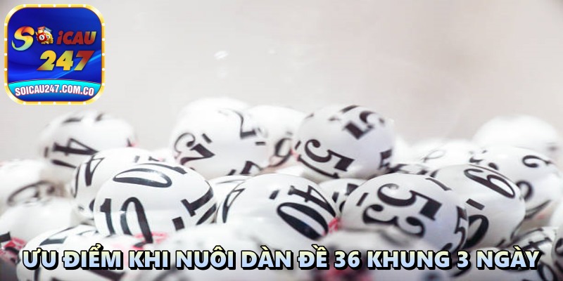 Nuôi Dàn Đề 36 Số Khung 3 Ngày: Vì Sao Mang Lại Hiệu Quả Cao?