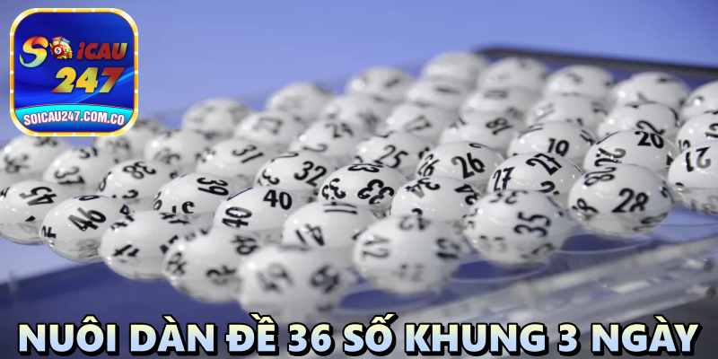 Nuôi Dàn Đề 36 Số Khung 3 Ngày: Vì Sao Mang Lại Hiệu Quả Cao?