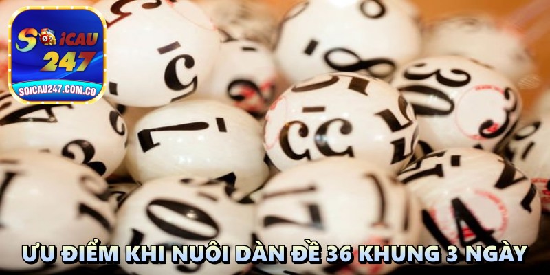 Nuôi Dàn Đề 36 Số Khung 3 Ngày: Vì Sao Mang Lại Hiệu Quả Cao?