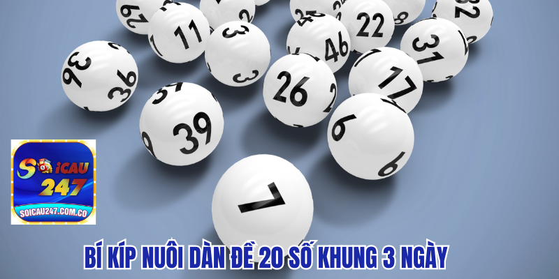 Hướng Dẫn Soi Cầu: Dàn Đề 20 Số Khung 3 Ngày