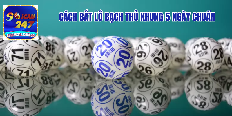 Mẹo Nuôi Lô Bạch Thủ Khung 5 Ngày Đạt Hiệu Quả Cao