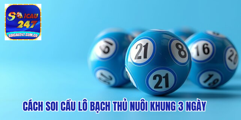 Hướng Dẫn Chơi Lô Bạch Thủ Nuôi Khung 3 Ngày Hiệu Quả