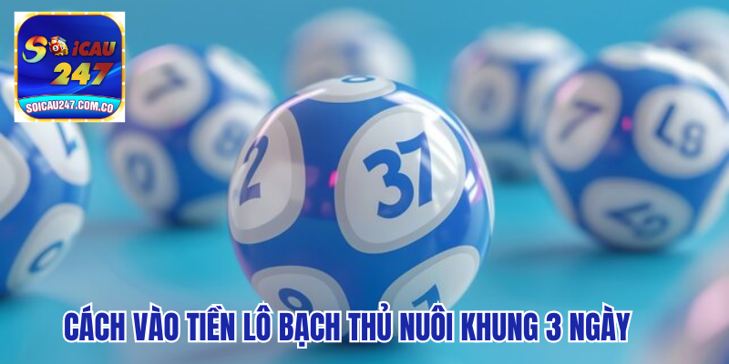 Hướng Dẫn Chơi Lô Bạch Thủ Nuôi Khung 3 Ngày Hiệu Quả