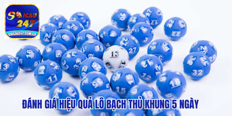 Mẹo Nuôi Lô Bạch Thủ Khung 5 Ngày Đạt Hiệu Quả Cao