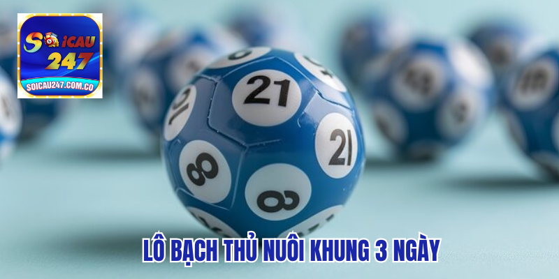 Hướng Dẫn Chơi Lô Bạch Thủ Nuôi Khung 3 Ngày Hiệu Quả