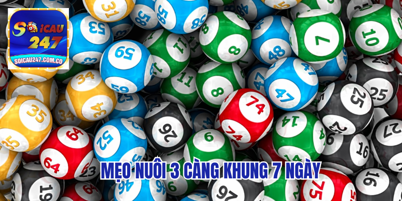 Hướng Dẫn Nuôi 3 Càng Khung 7 Ngày Thu Lãi To 