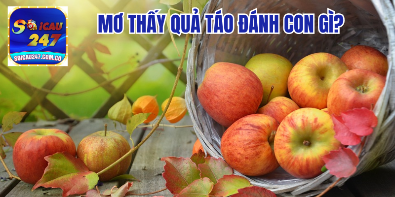 Giải Mã Giấc Mơ Thấy Quả Táo Điềm Báo Gì? 