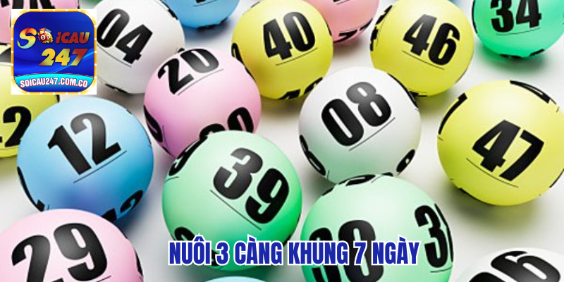 Hướng Dẫn Nuôi 3 Càng Khung 7 Ngày Thu Lãi To 