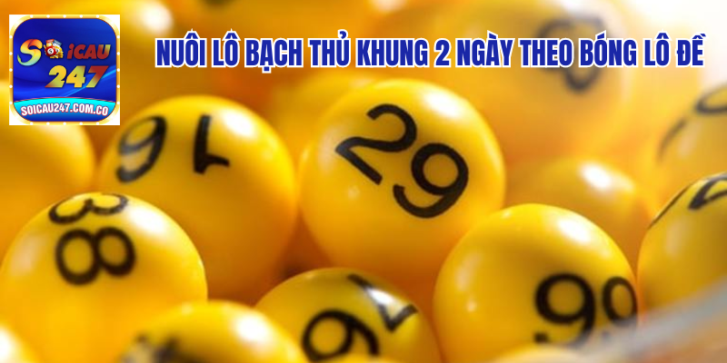 Nuôi Lô Bạch Thủ Khung 2 Ngày Hiệu Quả Lãi Cao