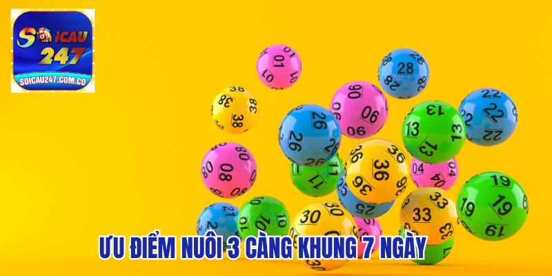 Hướng Dẫn Nuôi 3 Càng Khung 7 Ngày Thu Lãi To 