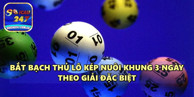 Bí Kíp Bắt Bạch Thủ Lô Kép Nuôi Khung 3 Ngày Siêu Chuẩn