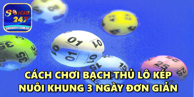 Bí Kíp Bắt Bạch Thủ Lô Kép Nuôi Khung 3 Ngày Siêu Chuẩn
