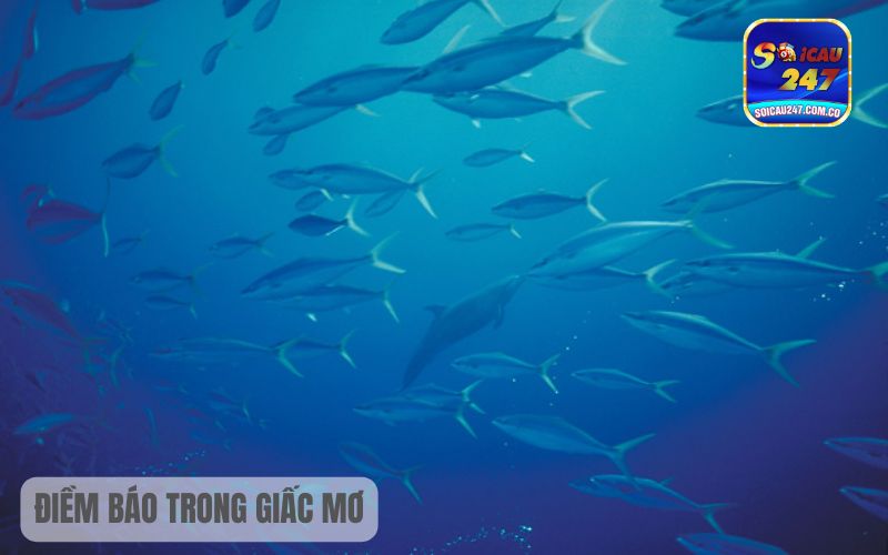 Mơ Thấy Tiền 100 Đánh Con Gì Dễ Trúng Lớn 