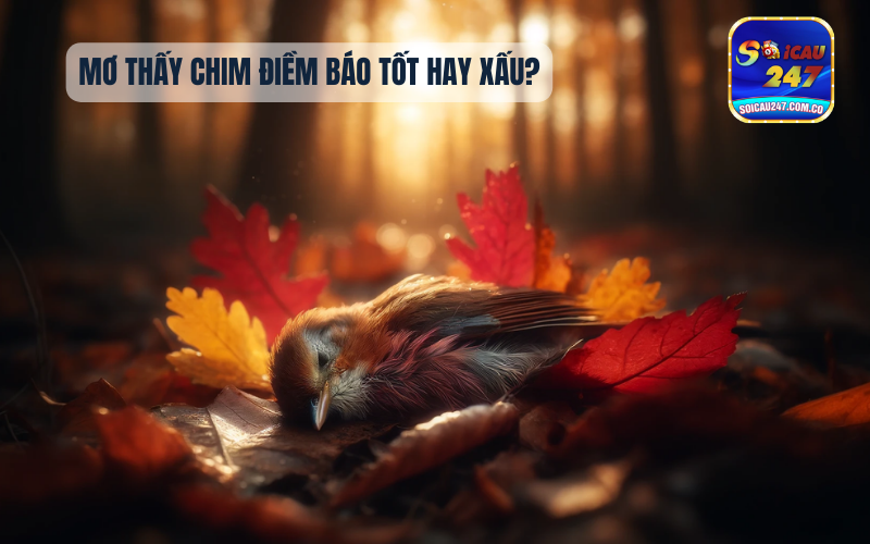 Nằm Mơ Thấy Nhiều Cua Đồng Đánh Con Gì? 