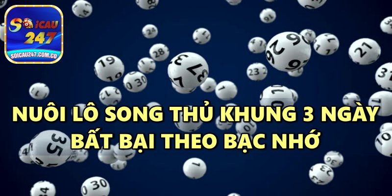 Nuôi Lô Song Thủ Khung 3 Ngày Bất Bại Miễn Phí