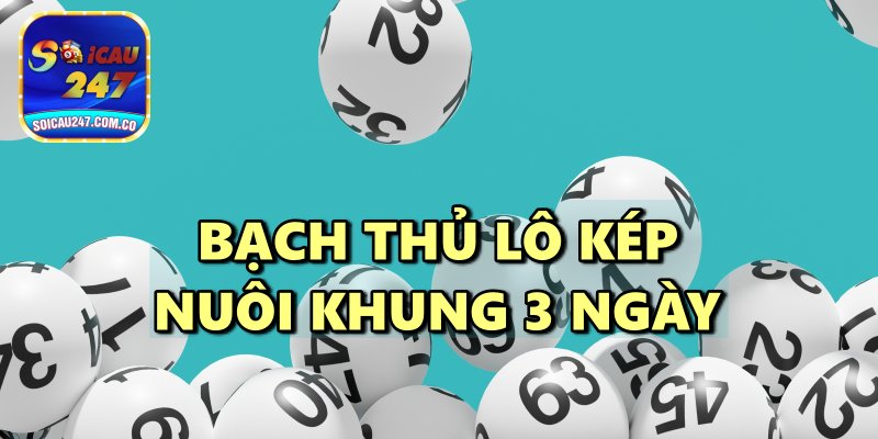 Bí Kíp Bắt Bạch Thủ Lô Kép Nuôi Khung 3 Ngày Siêu Chuẩn