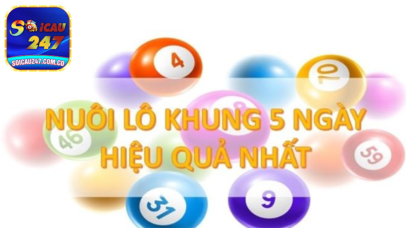 Chiến lược nuôi bạch thủ khung 5 ngày an toàn cùng Soi cầu 247