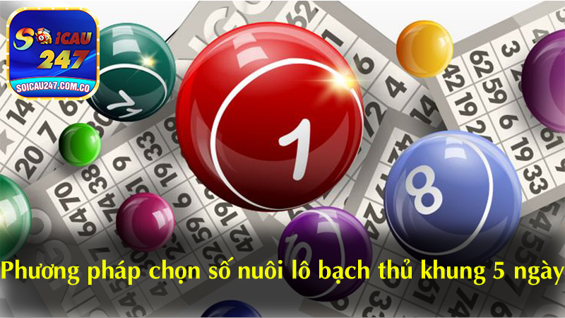Chiến lược nuôi bạch thủ khung 5 ngày an toàn cùng Soi cầu 247