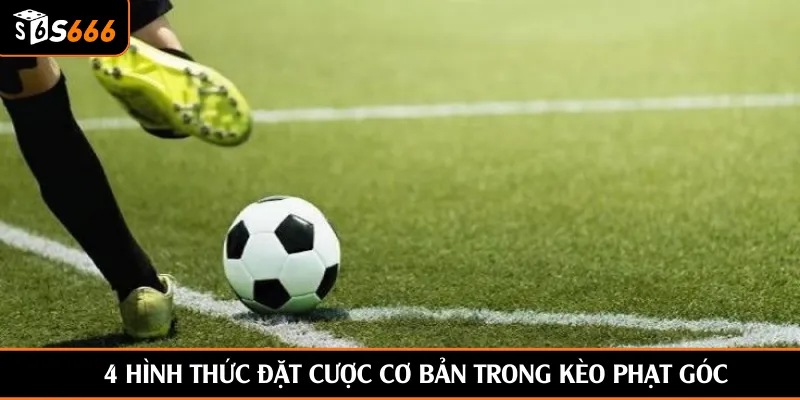 4 hình thức đặt cược cơ bản trong kèo phạt góc