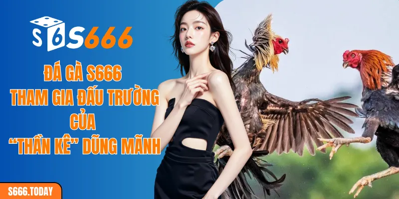Đá gà S666 là điểm đến an toàn cho giới sư kê với độ bảo mật dữ liệu cao. Game có tỷ lệ kèo cược hấp dẫn cùng hình thức trả thưởng minh bạch, sòng phẳng.